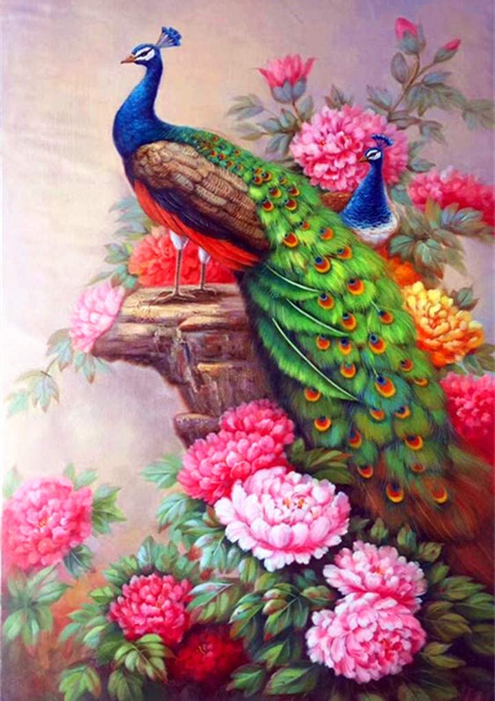 Peacock Diamond Painting, 3D Flash Drill Crystal Paint-by-Number